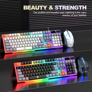 RAIKU T26 Three tone Keyboard Mouse