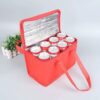 Portable Lunch Cooler Foldable Insulation Picnic Bag (6–30L) - Image 9