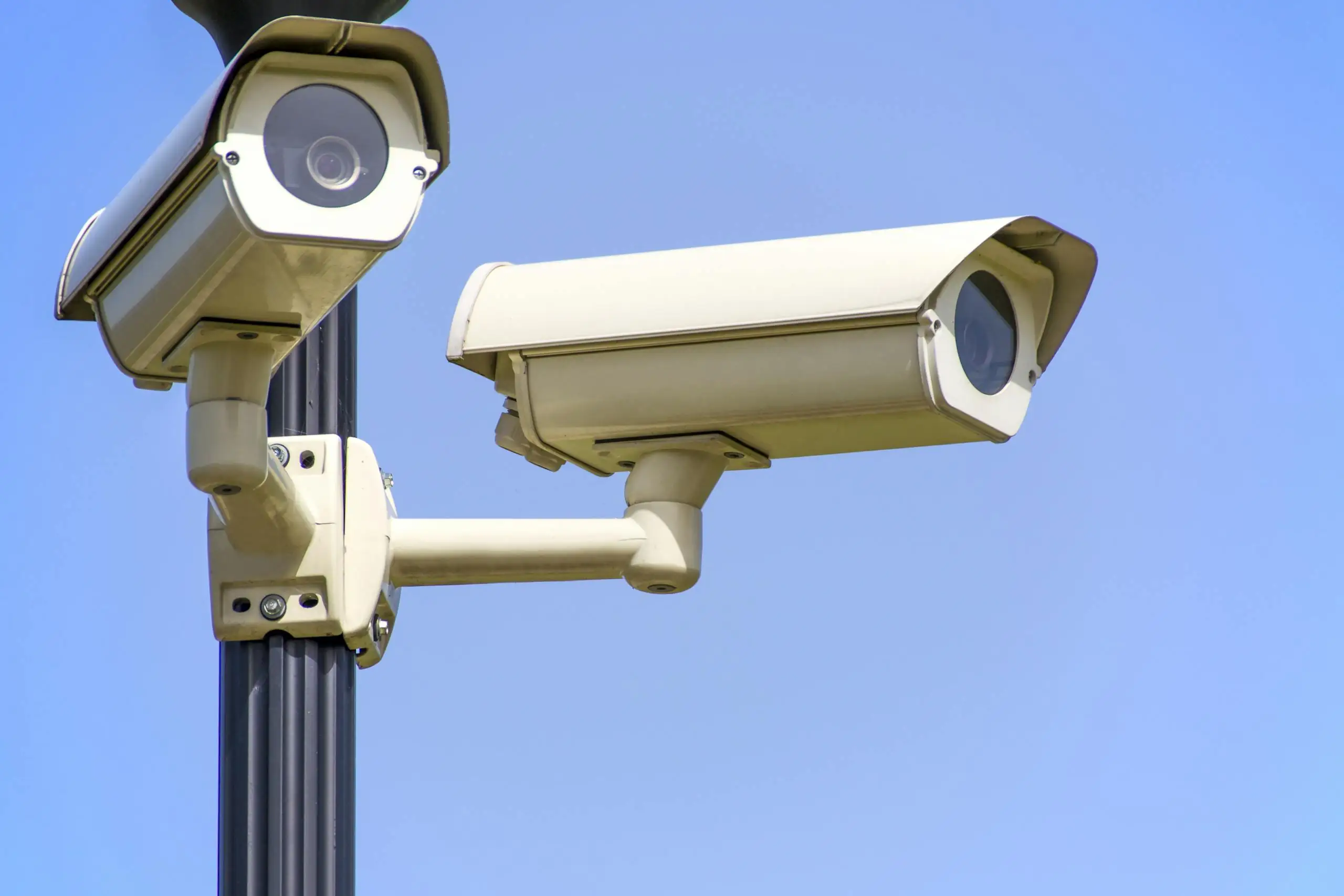 IP Cameras