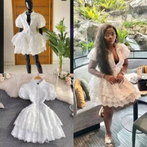 Vintage Elegant Lapel White Embroidery Puff Sleeve A-Line Cake Dress