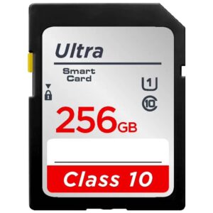 High-Speed Full-Size SD Memory Card V10 - Image 8