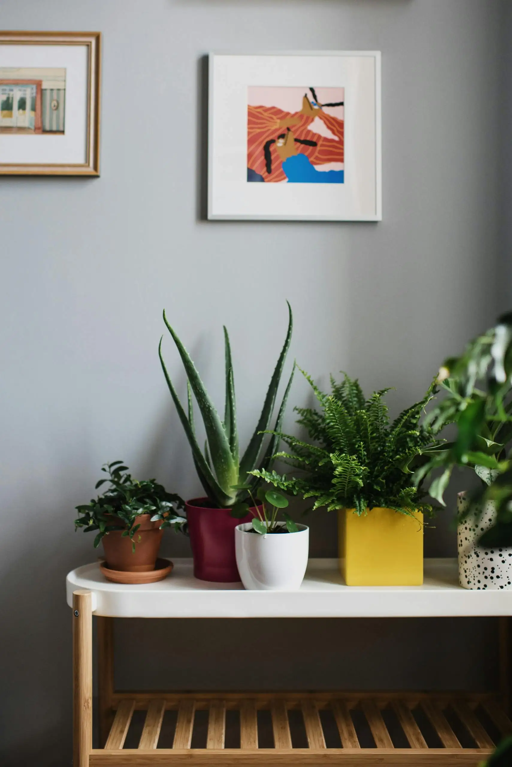 HOME AND GARDEN